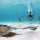 Blu3 Nemo Tankless Dive System